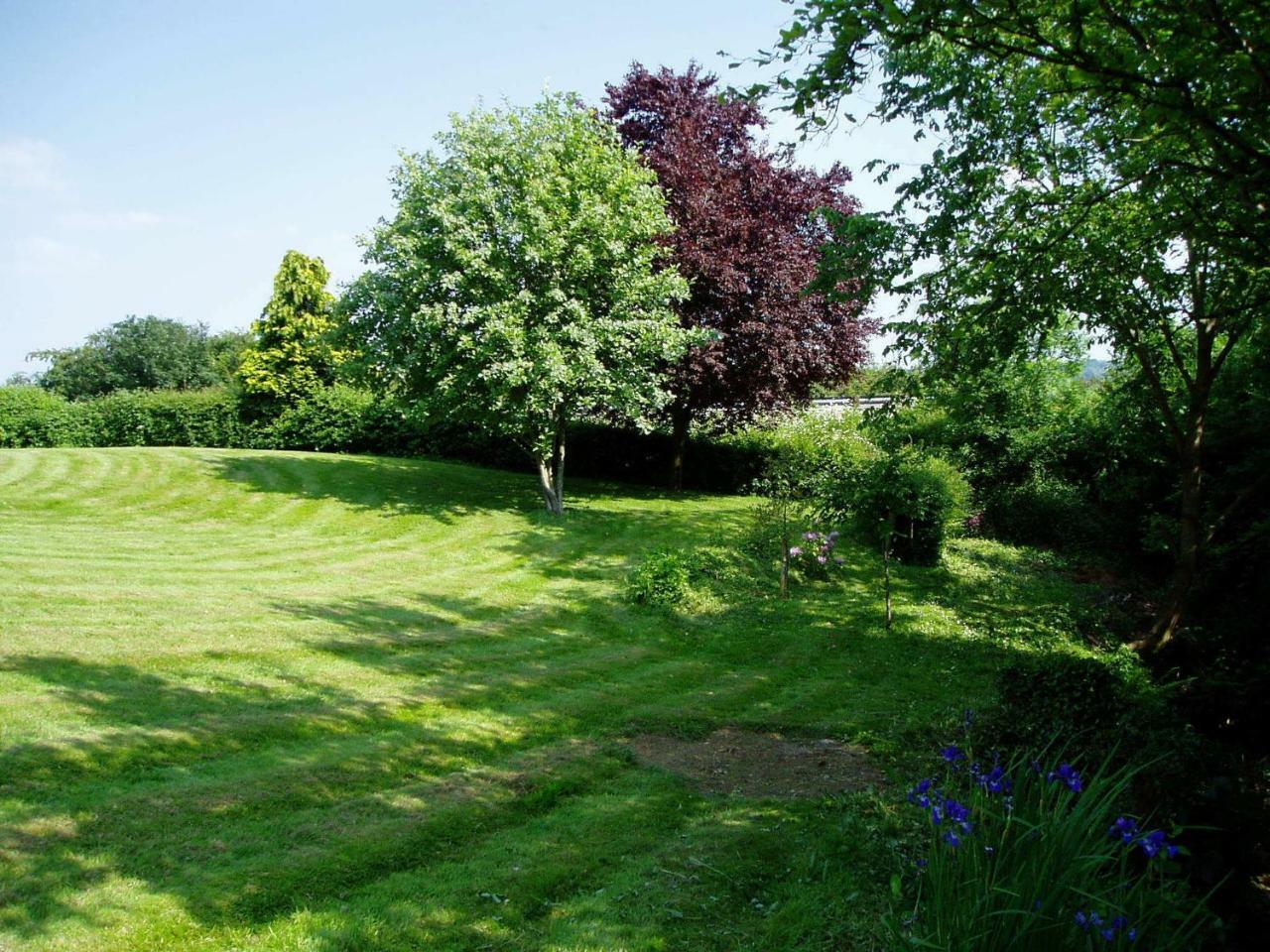 Rhydspence Guest House Hay-On-Wye Room photo